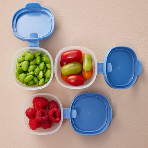 Snack Tubs - Ocean - B Box