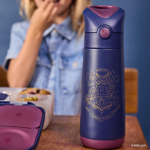Insulated Drink Bottle - Harry Potter 500ml - B Box