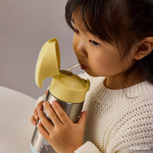 Insulated Drink Bottle 350ml - Looney Tunes - B Box