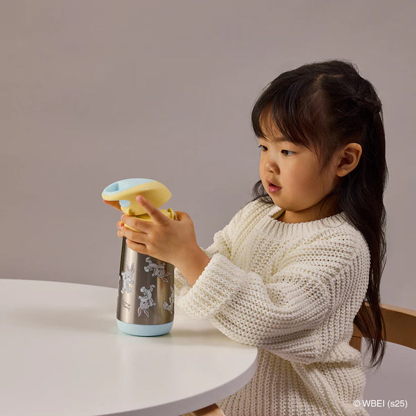 Insulated Drink Bottle 350ml - Looney Tunes - B Box