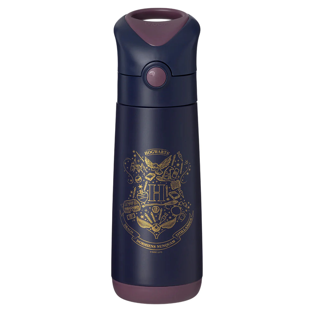 Insulated Drink Bottle - Harry Potter 500ml - B Box