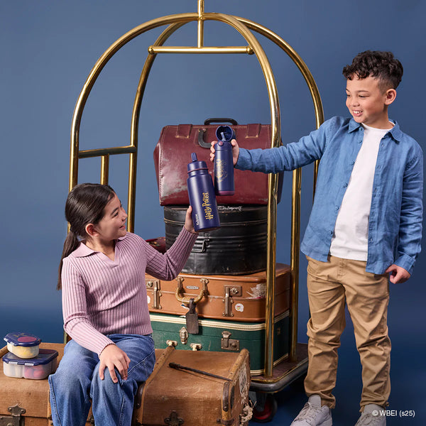 Insulated Flip Top 1 Litre Bottle - Harry Potter - B Box