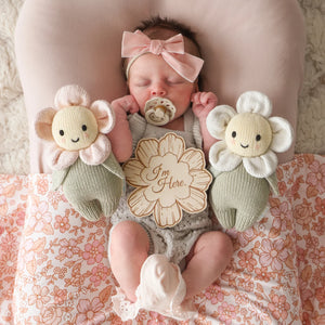 Baby Daisy - Blush Pink - Cuddle & Kind