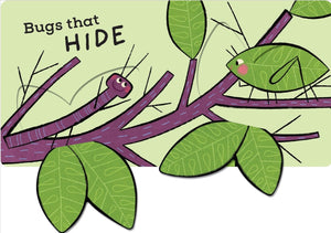 The Bug Book - Kids Book