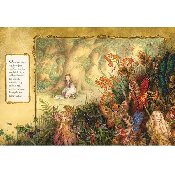 The Enchanted Woods Book - Paperback - Shirley Barber