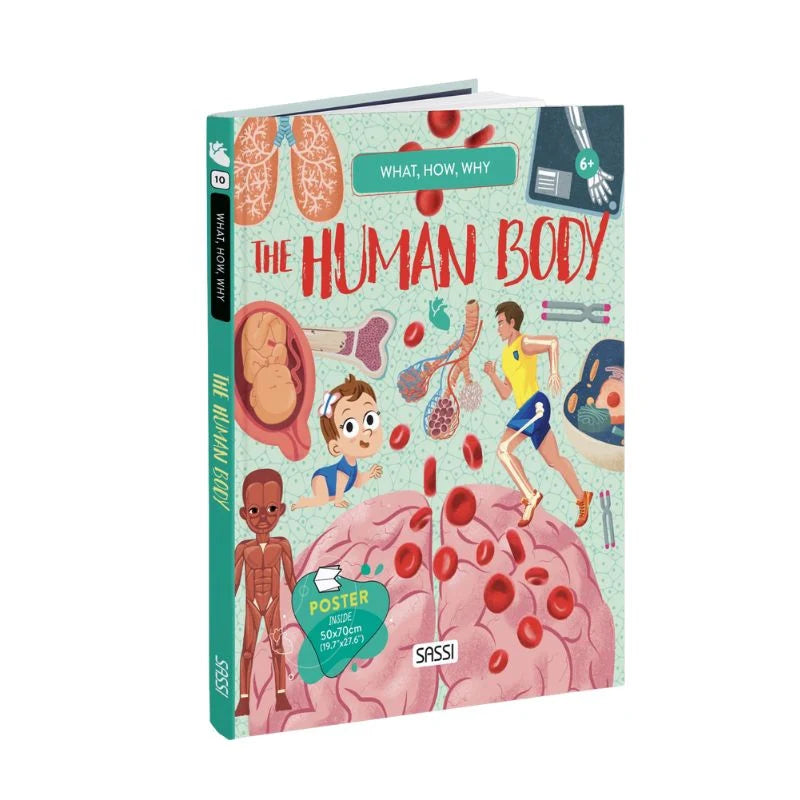 What How and Why The Human Body Book and Poster - Sassi