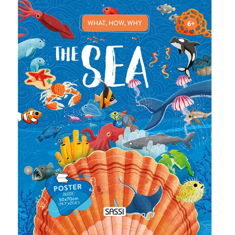 What How and Why The Sea Book and Poster - Sassi