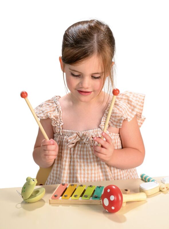 Woodland Music Set - Mentari