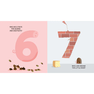 Pull and Play Book - Numbers - Sassi