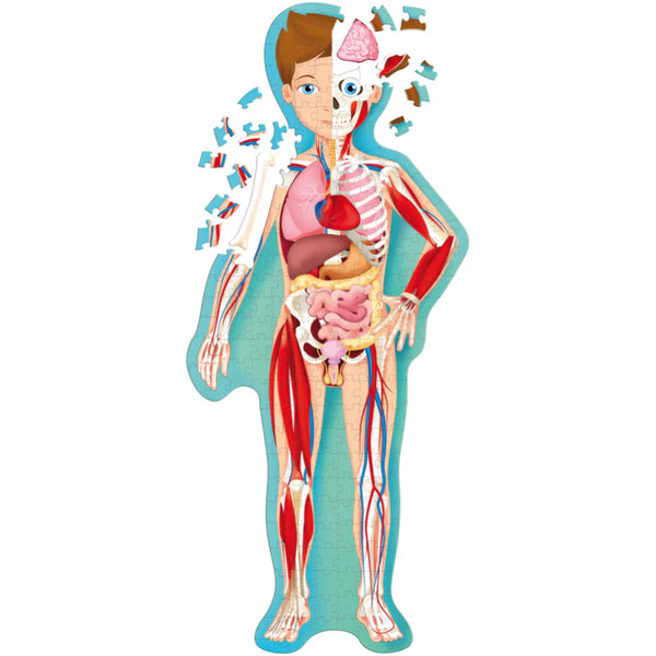 Travel, Learn and Explore - Puzzle and Book Set - the Human Body - Sassi