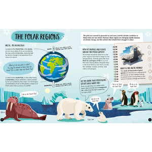 What How and Why Earth Book and Poster - Sassi