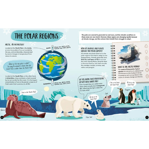 What How and Why Earth Book and Poster - Sassi