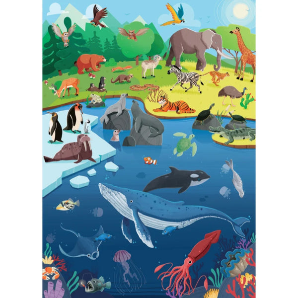 What How and Why Animals Book and Poster - Sassi