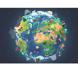 What How and Why Earth Book and Poster - Sassi