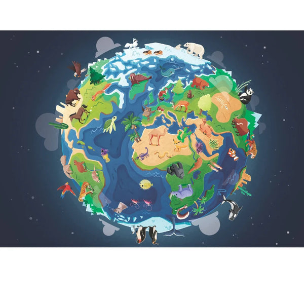 What How and Why Earth Book and Poster - Sassi