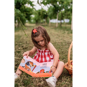 Sound Book - The Farm - Sassi