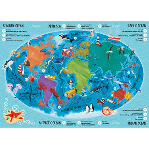 What How and Why The Sea Book and Poster - Sassi