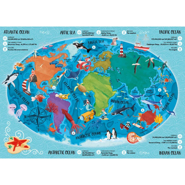 What How and Why The Sea Book and Poster - Sassi