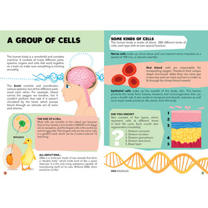Travel, Learn and Explore - Puzzle and Book Set - the Human Body - Sassi