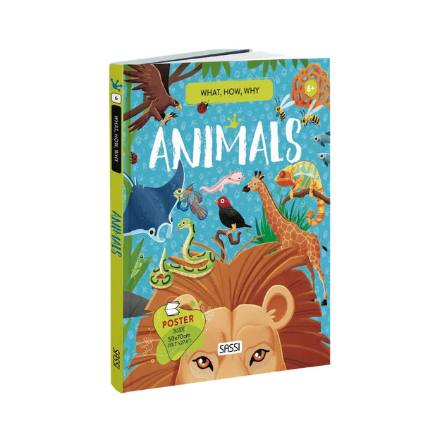 What How and Why Animals Book and Poster - Sassi