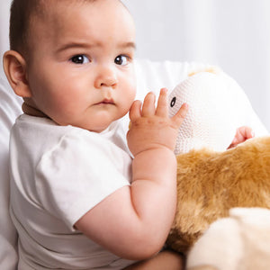 Knitted Toy - Emily the Emu - Living Textiles