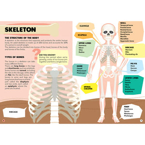 Travel, Learn and Explore - Puzzle and Book Set - the Human Body - Sassi