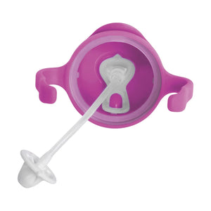 Sippy Cup - Pink Pomegranate - B Box