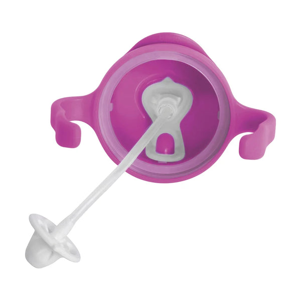 Sippy Cup - Pink Pomegranate - B Box