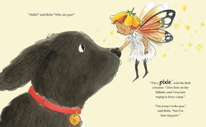 Pixie’s New Friend - Enid Blyton Book