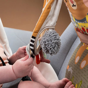 Taf Toys Savannah Play & Kick Car Toy 0M+ - Playette