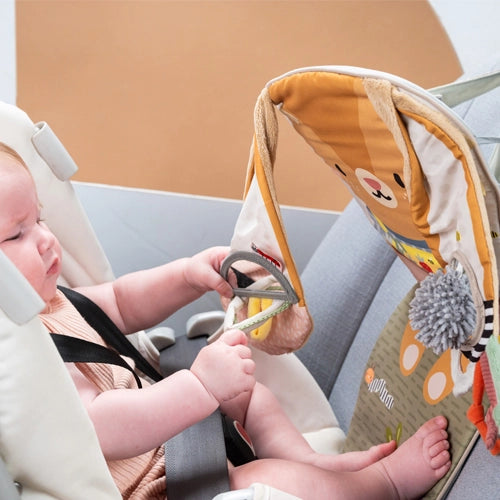 Taf Toys Savannah Play & Kick Car Toy 0M+ - Playette