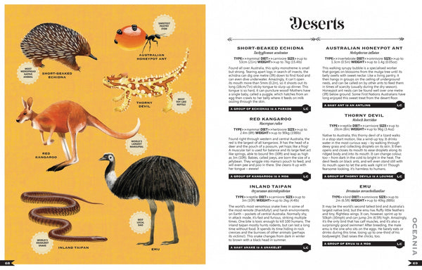 Wildlife Compendium of the World - Kids Book