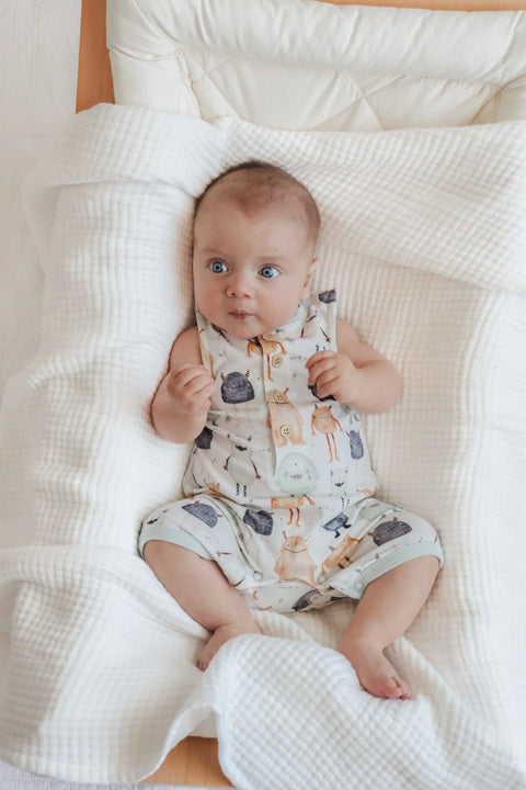 Rompers & Bodysuits – Peppa Penny