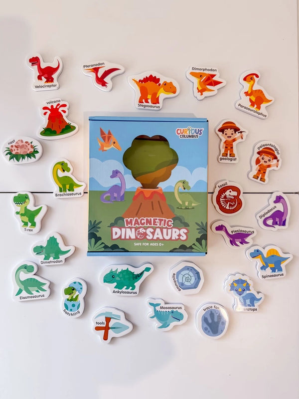 Magnetic Dinosaurs - Curious Columbus