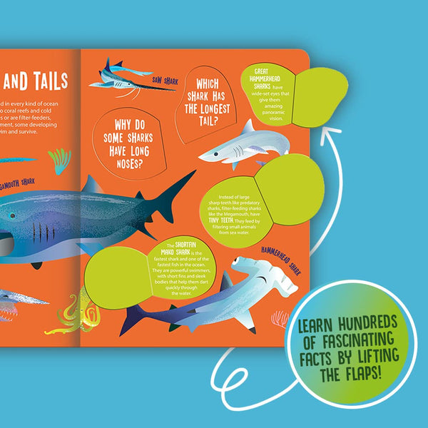 Sharks - Seek and Find Searchlight - Kids Book