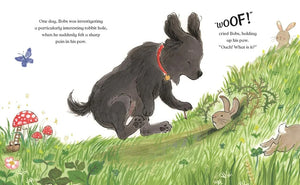 Pixie’s New Friend - Enid Blyton Book