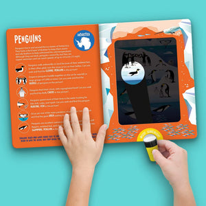 Animals - Seek and Find Searchlight - Kids Book