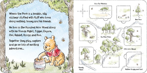 Winnie-the-Pooh: A Perfect Picnic: Lift the Flaps - Kids Book
