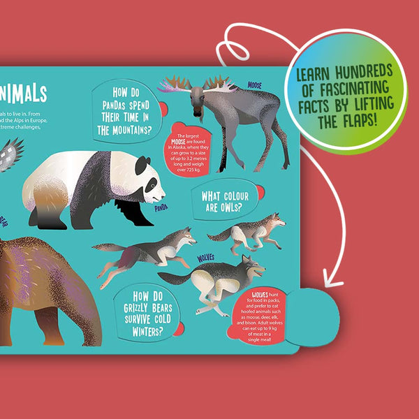 Animals - Seek and Find Searchlight - Kids Book