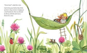 Pixie’s New Friend - Enid Blyton Book