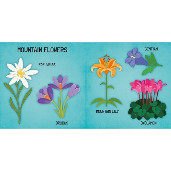 3D Puzzle and Book Set - Learn Shapes Flowers, 40 pcs - Sassi