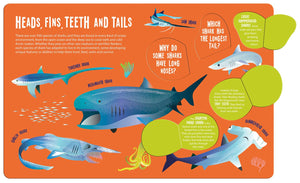 Sharks - Seek and Find Searchlight - Kids Book