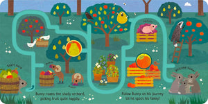 Can You Catch the Bunny? Board book