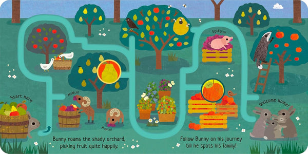 Can You Catch the Bunny? Board book