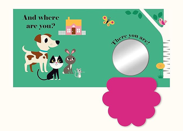 Where's Mr Dog? Lift the Flap Book - Hardie Grant