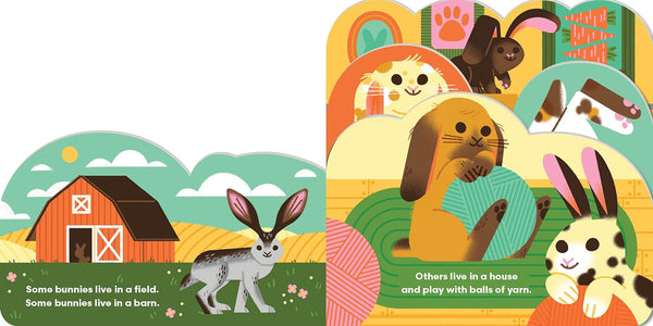 Some Bunnies - Board book