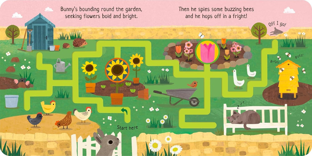 Can You Catch the Bunny? Board book