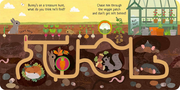 Can You Catch the Bunny? Board book