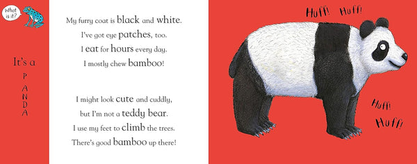 Flip Flap Zoo - Book