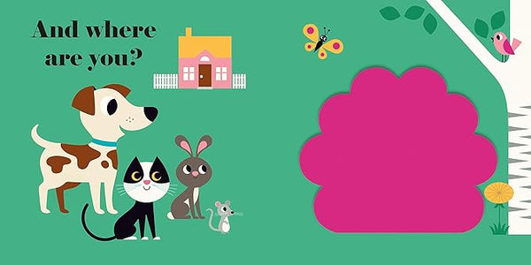Where's Mr Dog? Lift the Flap Book - Hardie Grant